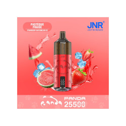 Pastèque Fraise 25500 PANDA JNR