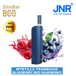 Blueberry Red Raspberry 800 PUFFS SlimBar JNR – vue 1