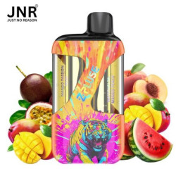 JNR Kit Zpluse 42K + 2x10mL – vue 1