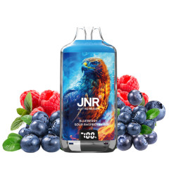 Puff Falcon X Plus 28K Blueberry Sour Raspberry 950mAh JNR – vue 1
