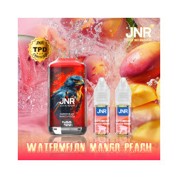 Kit Falcon X 28000 (2x10ml ) JNR Watermelon Mango Peach
