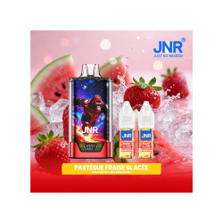 Strawberry Watermelon Ice 43000 Puffs GorillaX JNR