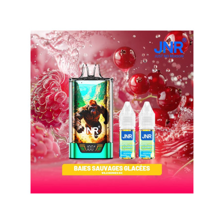 Wild Berries Ice 43000 Puffs GorillaX JNR