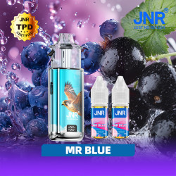 Puff Falcon Nexus 40K 2x10ml Falcon Nexus JNR Mr Blue – vue 1