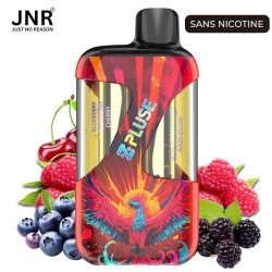 Puff Zpluse 42K sans nicotine Zpluse JNR Blueberry Raspberry Cherry + Blackberry Red Raspberry – vue 1