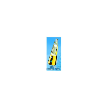 Mango Passion Fruit 26500 puffs ChicSpire JNR