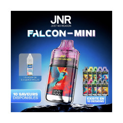 Falcon Mini 20000 Puffs JNR