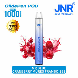 Mr Blue 1000 PUFFS GLIDE PEN JNR – vue 1